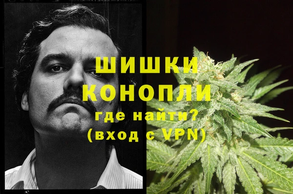 индика Абдулино