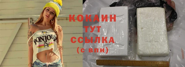 индика Абдулино