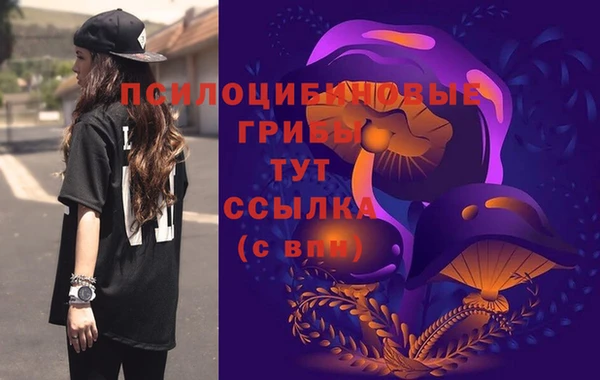 индика Абдулино