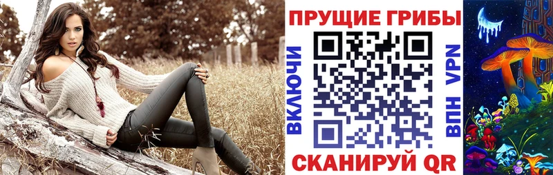 Псилоцибиновые грибы Magic Shrooms  купить наркотик  Сусуман 